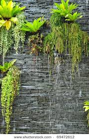 Living Plant Walls By Realpalmtrees Com Buyplants Buytrees Livingwall Stone Wall And Plants Water Feature Wasserwand Garten Steinmauer Garten Wandgarten