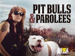 Here are tips on running a meetin. Fan Favorite Series Pit Bulls Parolees Heads To Discovery Channel And Streams On Discovery Beginning April 3 2021 8pm Morty S Tv