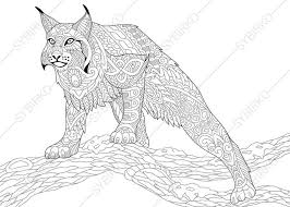 Pin On Adult Color Images Dog Cat