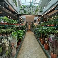 Последние твиты от umd home&garden info center (@umdhgic). Photos At Home Garden Nursery Kuwait Garden Center In Ø§Ù„Ø±ÙŠ