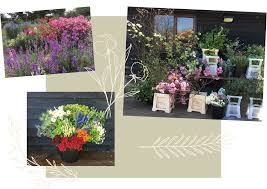 Check spelling or type a new query. Wholesale Flowers Bee Haven