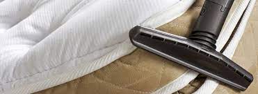 This reduces the number of bed bugs. How To Prevent Bed Bugs Rentokil Pest Control Malaysia