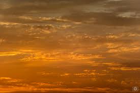 Sign up for free and download 15 free images every day! Orange Sunset Sky And Clouds Background High Quality Free Backgrounds