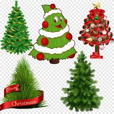 The norfolk island pine or star pine (araucaria heterophylla), originates from a tiny island off the east coast of australia. Norfolk Island Pine Png Images Pngegg