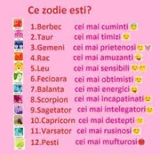 37 Chaturi Necitite True Words Stupid Funny Memes Gemini