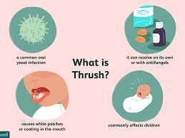 We did not find results for: The Facts About Hiv And Thrush Candidiasis