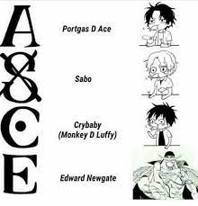 You may even find the ultimate one piece treasure. Ace Luffy Sabo Ace 39 S Tattoo Explained One Piece Ace Ace39s Explained Luffy Piece Sabo Tattoo Manga One Piece Ace One Piece Anime