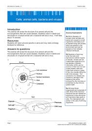 The cell (from latin cella, meaning small room) is the basic structural, functional, and biological unit of all known organisms. Animal Cells Bacteria And Viruses
