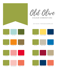 Old Olive Colour Combinations Color Combos Outfit Color Combos Color Combinations For Clothes
