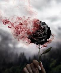 Black desktop aesthetic quotes wallpapers tumblr wallpaper phone wallpaper quotes black wallpaper cool wallpaper screen wallpaper space iphone wallpaper hipster wallpaper dark phone wallpapers screenlock wallpapers. Photography Amazing Art Black Roses Wallpaper Art Wallpaper