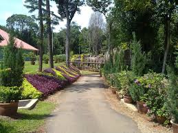 We did not find results for: Hutan Rekreasi Ayer Keroh Mapio Net