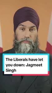 Actor Jayden Singh Toronto