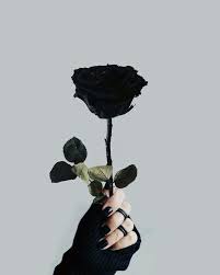 640 x 360 · jpeg. Wallpaper Hitam Bunga Rona Wallpaper