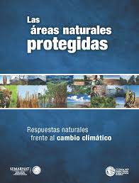 Las salinas, las pinturas rupestres, las cactáceas. Las Areas Naturales Protegidas Respuestas Naturales Frente Al Cambio Climatico Comision Nacional De Areas Naturales Protegidas Gobierno Gob Mx