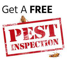 Paying for a pest inspection when selling a home—when it is required and when it isn't, and who is responsible to pay, the buyer or seller. Termite Control Portland The Killers Pest Control