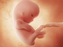 You experience 7 weeks pregnant symptoms such as constipation and occasional bouts of indigestion. 9 Weeks Pregnant Let S Understand What All Is Happening In Your Body Times Of India