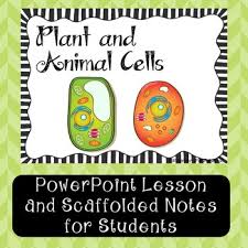 They comprise of other organelles and cellular structures which carry out the main difference between the animal and plant cell is that the animal cell is not able to make their own food. Plant And Animal Cells Powerpoint Lesson With Note Taking Study Guide