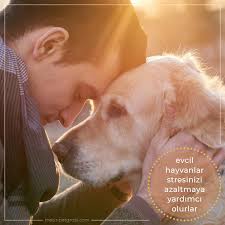 Hayvanlari Sevmek Beslemek Onlarla Arkadaslik Kurmak Stresinizi Azaltmaniza Yardimci Olur Kopek Dog Animallover Animal Ins Hayvan Ve Arkadaslik