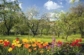 Spring is the season of new beginnings. Spring Definition Dates Facts Britannica