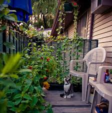 We did not find results for: 33 Great Balcony Garden Ideas With A Diy Balcony Guide