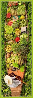 Thailand So Popular Everything Is Healthy And So Fresh Asie Photos Photos Insolites