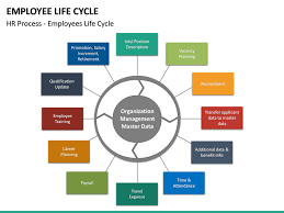 employee life cycle