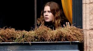 It looks like the woman in the window is finally being released to audiences. The Woman In The Window Movie Release Date Cast Plot News Trailer 2020