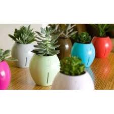 But first, why even grow succulents in pots? Round Red Plant Pots For Garden Aryan Trading Company An Aryan Group Of Companies Id 2071930797