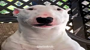 And has also been suspected of committing various war crimes in the second world war. Walter Beatbox Walterlore