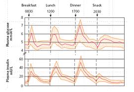 Insulin What School Staff Need To Know Diabetes At School