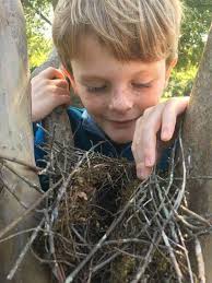 A Charlotte Mason Approach to Classical Conversations Cycle 3 Quarter 4 |