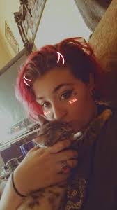 How can I find my lost cat Lilith?