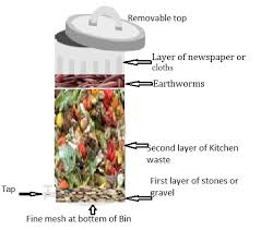 Six to eight inches of browns, followed by two or three of greens, and then a sprinkling of the soil options. Vermiculture Vermicompost Organic Fertilizer Project Preparation