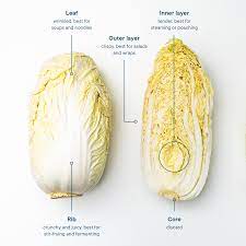 Everything You Need To Know About Preparing And Storing Napa Cabbage Stories Kitchen Stories