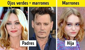 Descubrimos Cuales Son Los Genes Que Se Heredan De Papa Y Cuales De Mama Genial