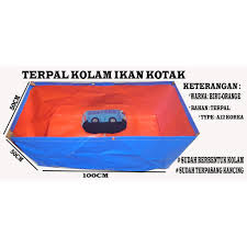 Bagi orang yang memiliki hobi memelihara ikan, tentu cara ternak ikan cupang koi akan sangat mudah dilakukan. Terpal Kolam Ikan Uk 100x50x50 A12 Korea Cocok Buat Ternak Ikan Hias Koi Ikan Cupang Dan Ikan Lele Shopee Indonesia