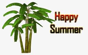 Download transparent banana tree png for free on pngkey.com. Banana Tree Png Images Transparent Banana Tree Image Download Pngitem