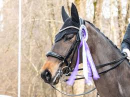 Her husband max von bredow has competed in eventing at national level in germany. Jessica Hits The Right Notes In Salzburg