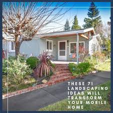 Needs Some Ideas To Liven Up That Yard