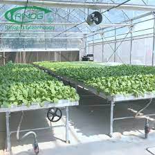 China Indoor Farming Vertical Dft Nft Hydroponics System For Salad Lettuce China Nft Hydroponics