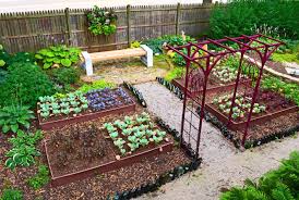 Outdoor Vegetable Garden Vegetable Garden Planning Vegetable Garden Planner Garden Layout Vegetable