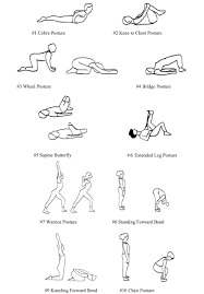 Pin On Low Back Pain Exercises