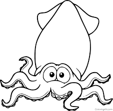 We did not find results for: Bigfin Reef Squid Coloring Page Coloringall