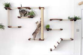 How to design & install irrigation. Cat Shelf And Activity Center Shopping Guide This Old House
