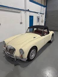 Image result for Old English White 1961 MG
