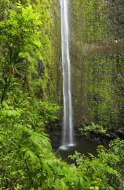 waimoku falls haleakala national park maui hawaii travel hawaii maui hawaii vacation waterfall