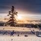 Wheel Of the Year: Midwinter Solstice event image