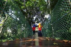 0,1 km de bukit nanas. Kl Tower Kl Forest Eco Park