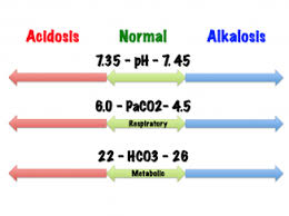 Arterial Blood Gases Physiopedia