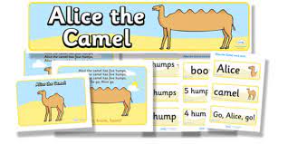 Because alice is a horse! Alice The Camel Resource Pack Teacher Made